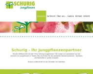 Bild Schurig Jungpflanzen Handels KG Baumschule