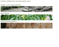 Bild Dolze GmbH Garten- und Landschaftsbau Baumpflege