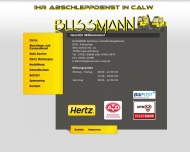 Bild Bussmann Autohaus + Abschleppdienst