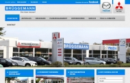 Bild Brggemann GmbH + Co., Arthur Vertreter der Daimler Chrysler AG