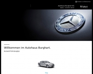 Bild Mercedes-Benz Servicepartner