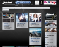 Bild Autoglas Pickel