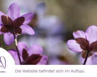 Bild Werker Rosemarie BastelGesch.