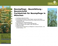 Bild Baumpflege Zentrale GmbH