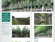 Website Kleinwort Heino u. Jens Baumschulen