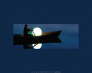 Bild Licht im Blick