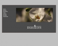 Bild Dahlmann Blumen u. Pflanzen