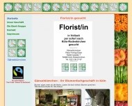 Bild Gnseblmchen