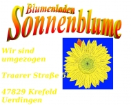 Bild Blumenladen Sonnenblume Frank Kittan