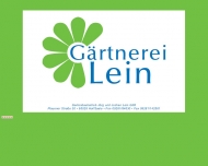 Bild Blumen - Lein