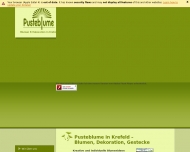 Bild Pusteblume Krefeld - Blumen, Dekoration, Gestecke