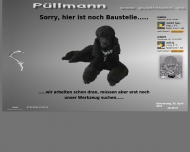 Bild Pllmann EDV-Service