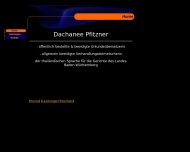 Website Pfitzner D.