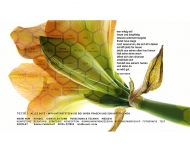 Bild RECALL! Design & Kommunikation, Werbeagentur Inh. Sabine Felderhoff
