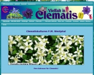 Bild Clematis Kulturen Friedrich Manfred Westphal