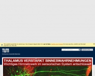 Bild Groer Saal der staatl. Hochschule fr Musik und Theater