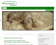 Bild Hermanns Karl Hundezucht