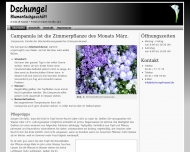 Bild Dschungel  Blumenfachgeschft