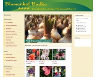 Bild Blumenhof Budke 