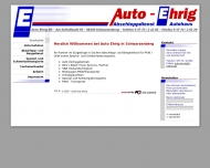 Bild Webseite  Beierfeld