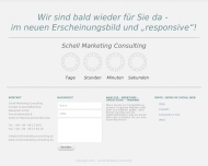 Website Schell Marketing Consulting Analyse Beratung Umsetzung Training