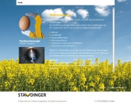 Bild Staudinger GmbH Tanktechnologie/Tankreinigung
