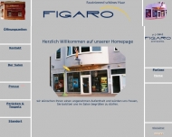 Bild Erfle Uwe Friseur Figaro