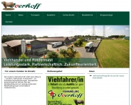 Bild Bodmann Hermann Baugeschft