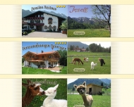 Bild Restner Johann
