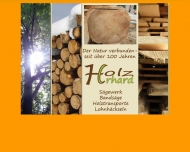 Bild Totzl Reinhard Maler