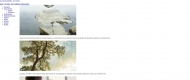 Website Jost Hurler Beteiligung und Verwaltungsges.