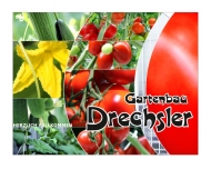 Drechsler Gartenbau Tomaten und Gurken aus dem Knoblauchsland