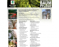 Bild Baumpflege Schütz
