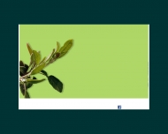 Bild Garten-Stahl GmbH