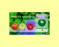 Bild Brandkamp GmbH