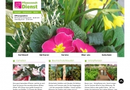 Bild Pflanzenwelt Dienst