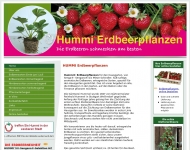 Bild Reinhold Hummel Beteiligungs-GmbH