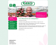 Bild Ziencz Hans-Joachim