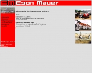 Bild Mauer Egon GmbH u. Co. Bauunternehmen