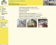 Bild Falken