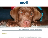 Bild Friedrich Moll GmbH & Co. KG