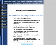 Bild Silbereis Martin