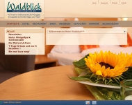 Bild Waldblick