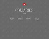 Bild Collasius Wilh. & Sohn Export-Import-Services