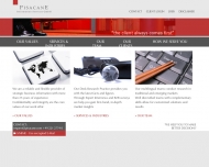 Bild Pisacane Information Services GmbH International Business Research