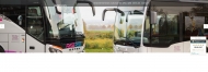 Bild Risse Reisen