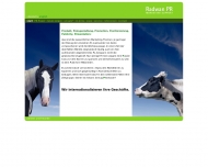 Website Radwan Christiane Marketing/Public Relation Radwan PR