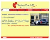 Bild Webseite  Heidenau