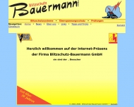 Bild Blitzschutz Bauermann GmbH