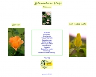 Bild Hugo Gnter Blumenhaus